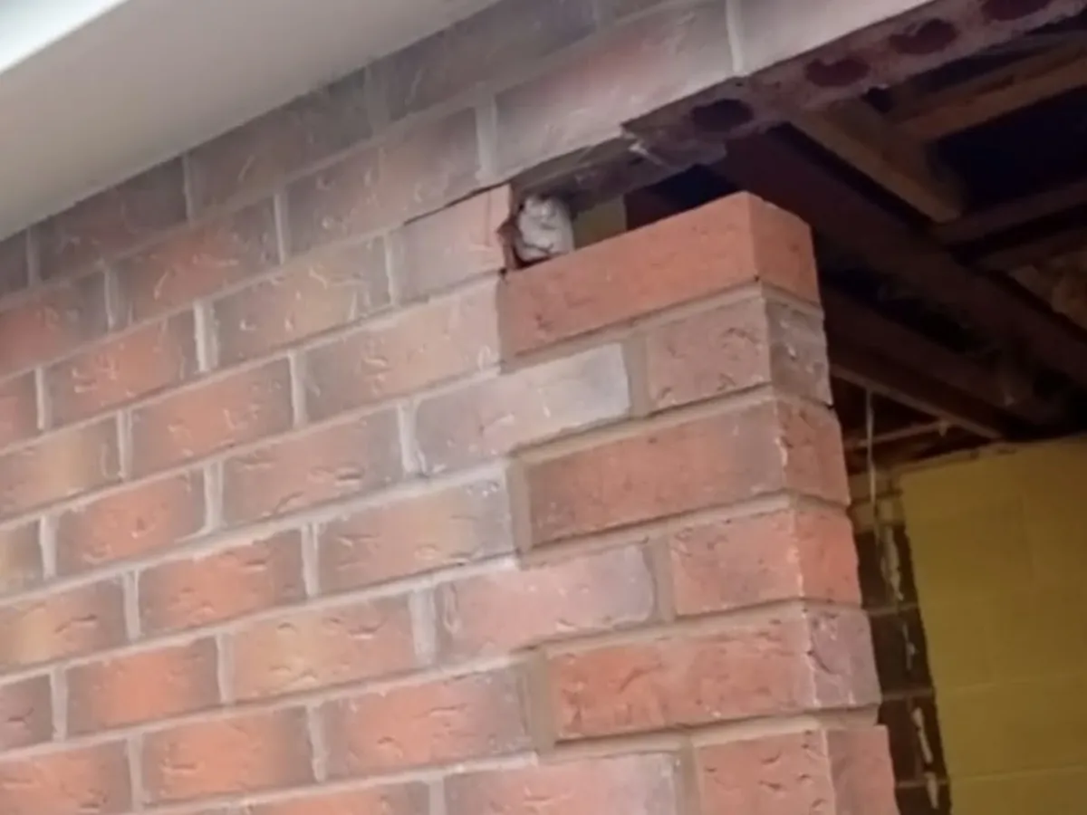 Extension corner by RLG Construction